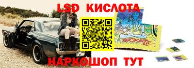 стафф Заводоуковск