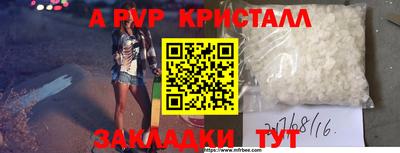 стафф Заводоуковск