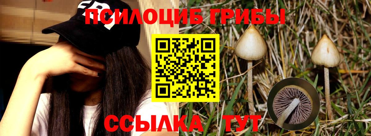 Галлюциногенные грибы MAGIC MUSHROOMS Шебекино