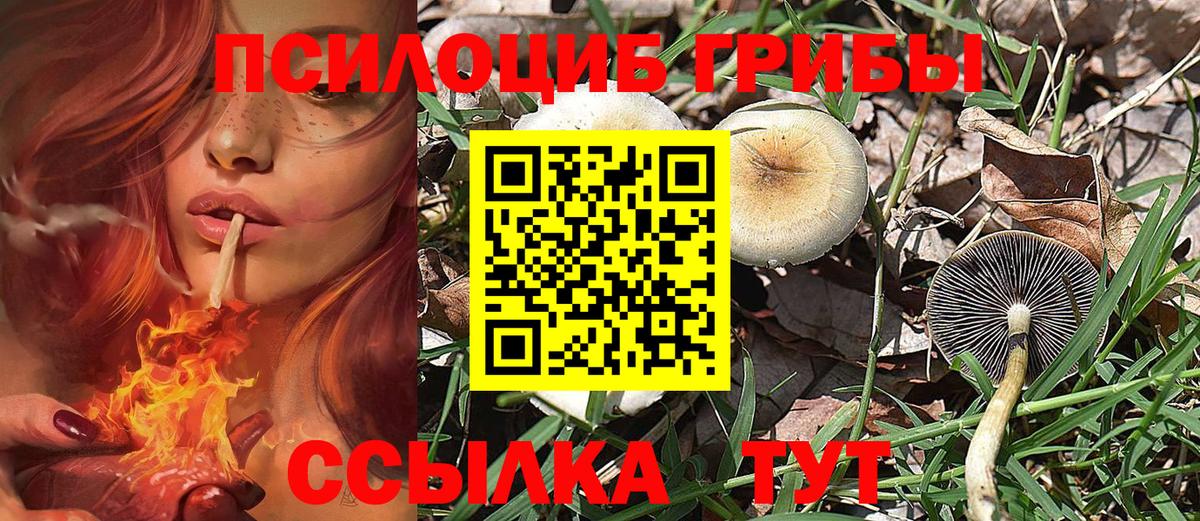 Шебекино  Галлюциногенные грибы GOLDEN TEACHER  Вход с VPN 