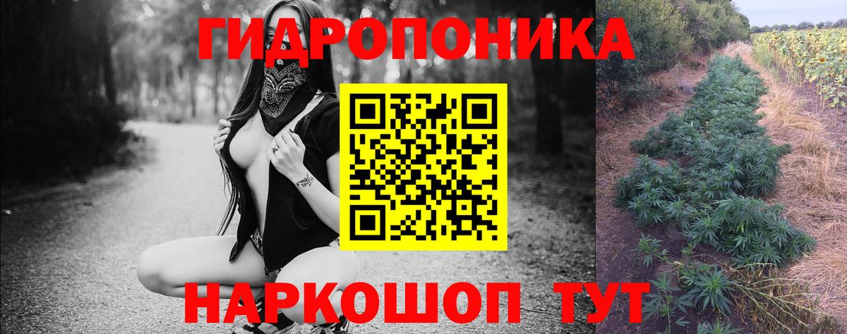 Бошки марихуана SATIVA & INDICA  Вход с VPN  Шишки марихуана гибрид  Шебекино 